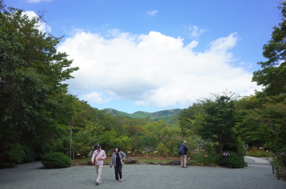 a0287336_18005472.jpg