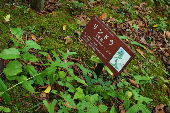 a0287336_18014639.jpg
