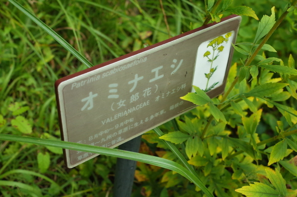 a0287336_18021099.jpg