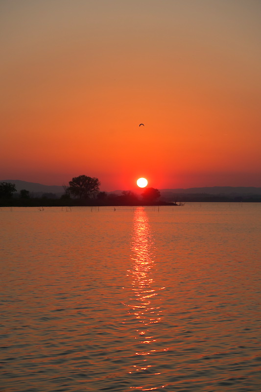 f0234936_6195949.jpg