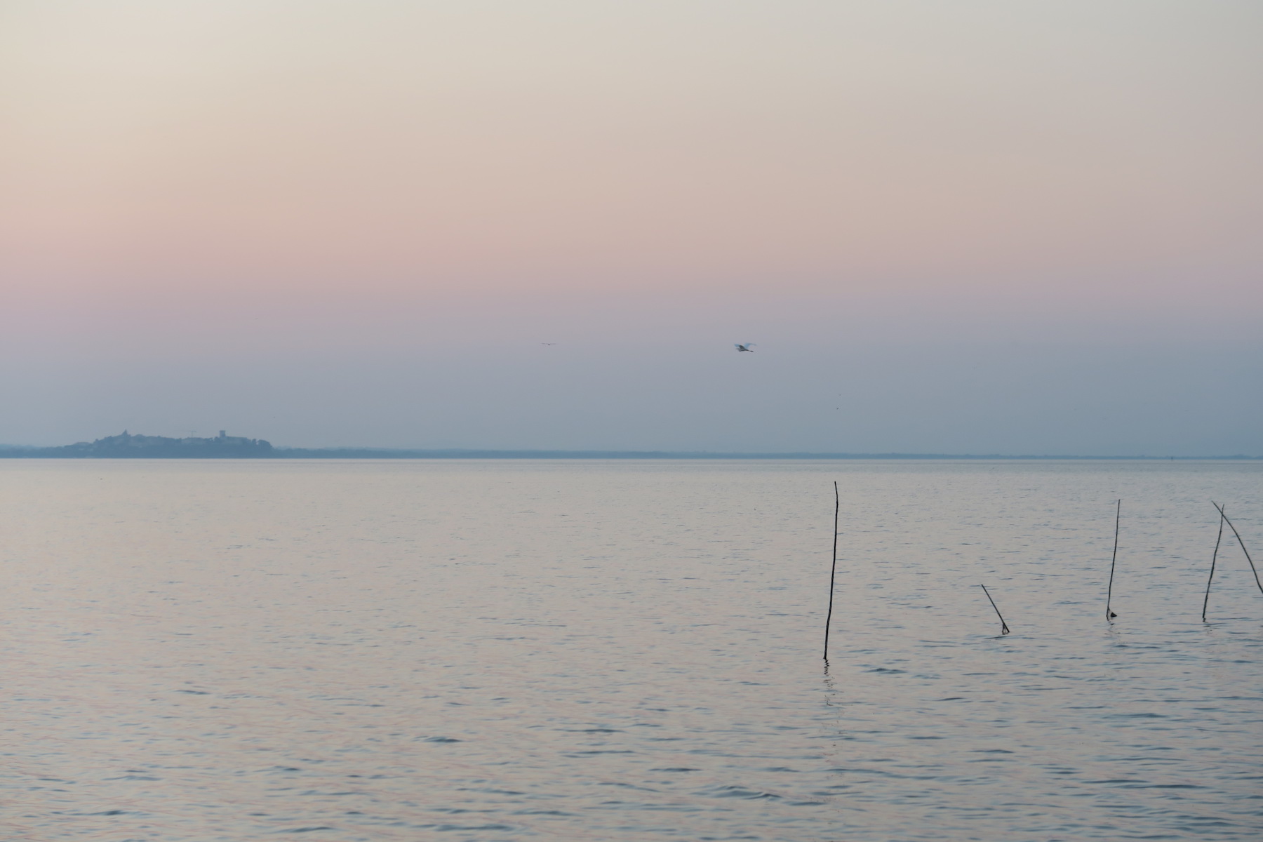 f0234936_632216.jpg