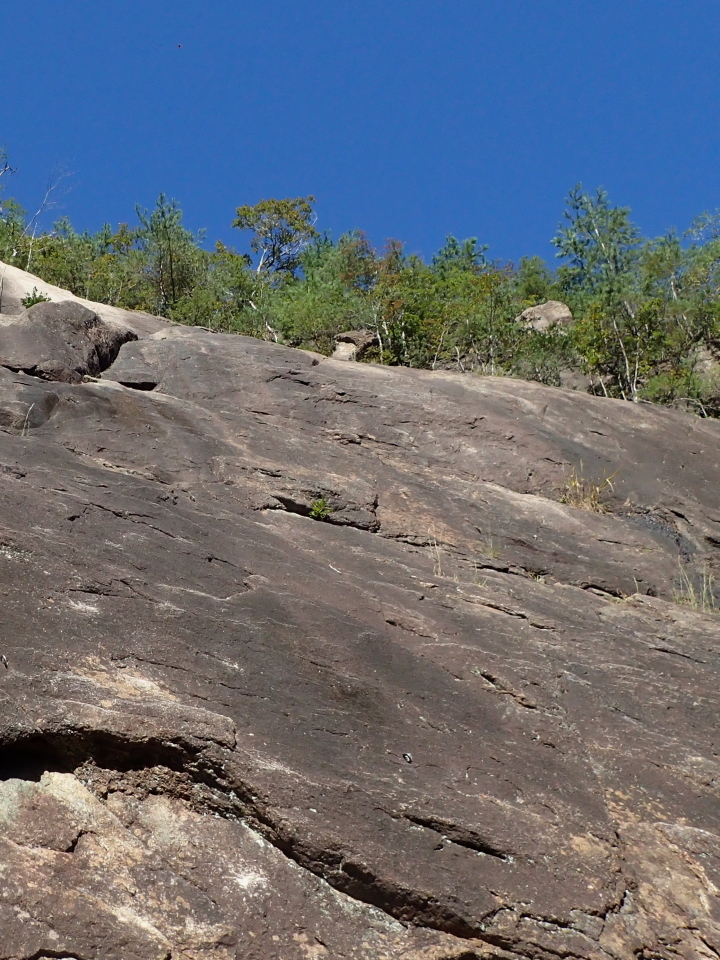 d0169937_14010704.jpg