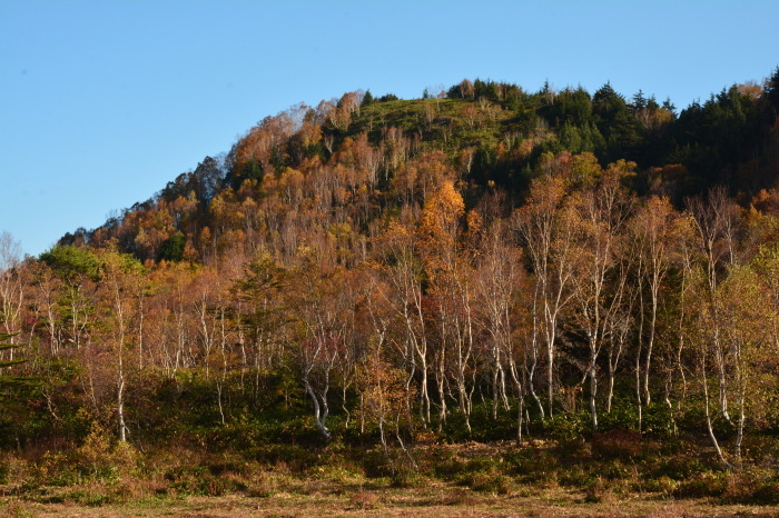 志賀高原から山田牧場へ_e0099737_20443359.jpg