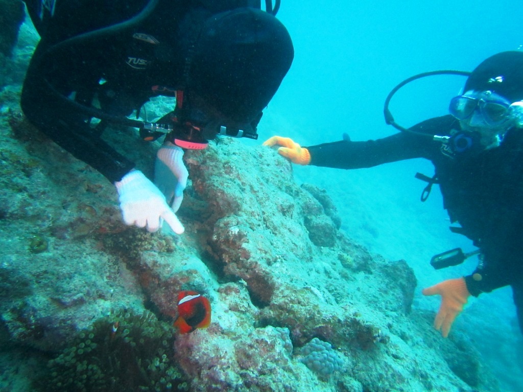魚も出待ち???_a0189838_06004795.jpg