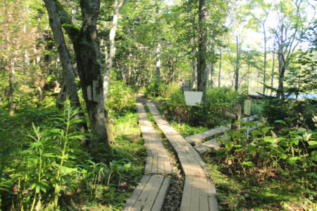 b0038638_23144390.jpg