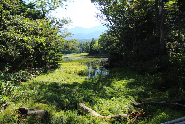 b0038638_23145293.jpg