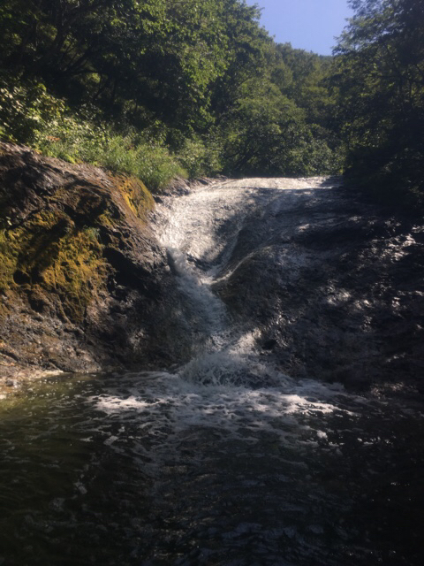 b0038638_23173386.jpg