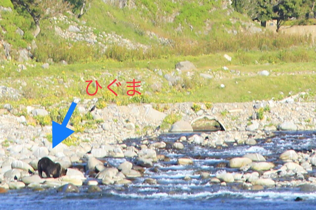b0038638_23200671.jpg