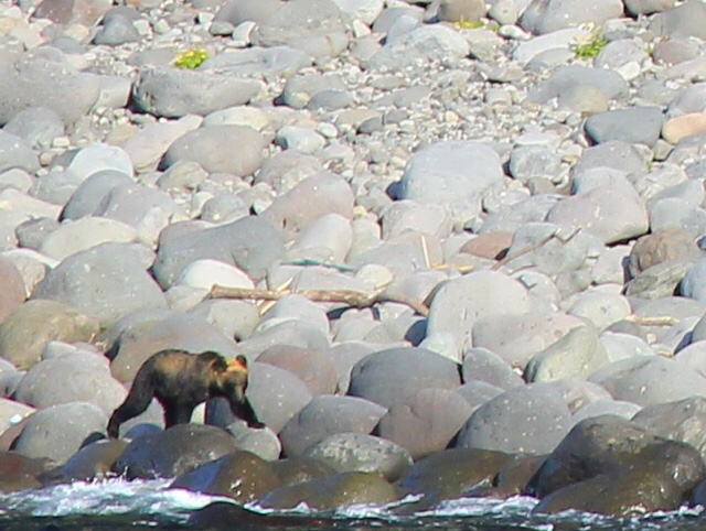 b0038638_23200885.jpg