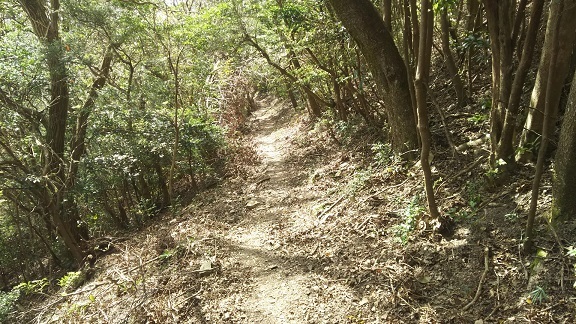 c0077338_17503205.jpg