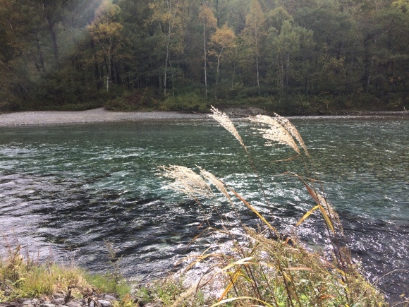 e0376642_12092794.jpg