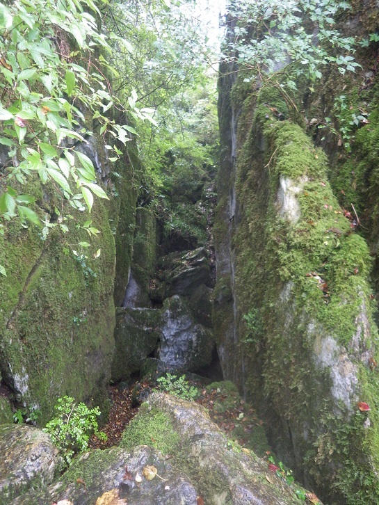 e0164643_10344299.jpg