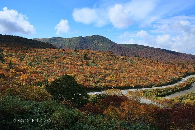 c0145250_09494920.jpg