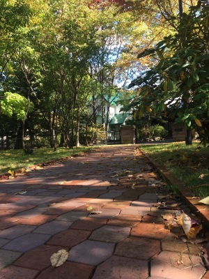 f0189650_15314901.jpg