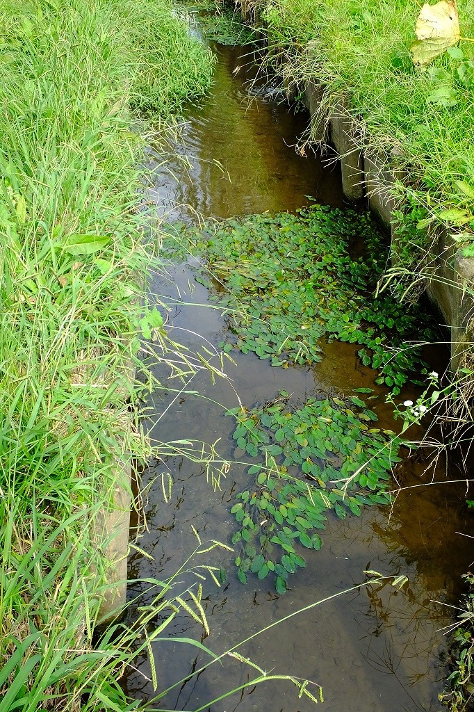 b0236251_10040491.jpg