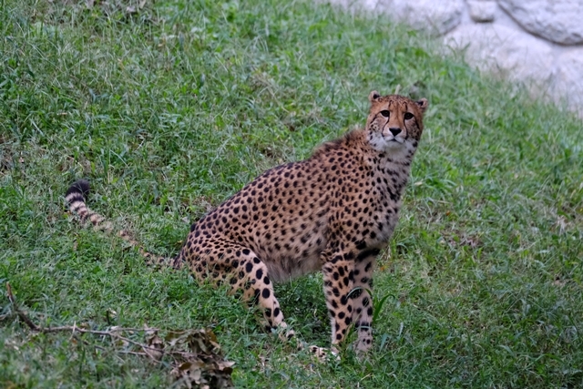 d0356852_19463964.jpg