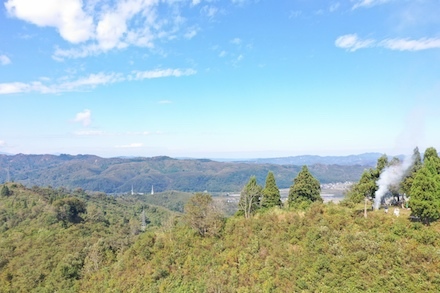 a0346455_11452309.jpg