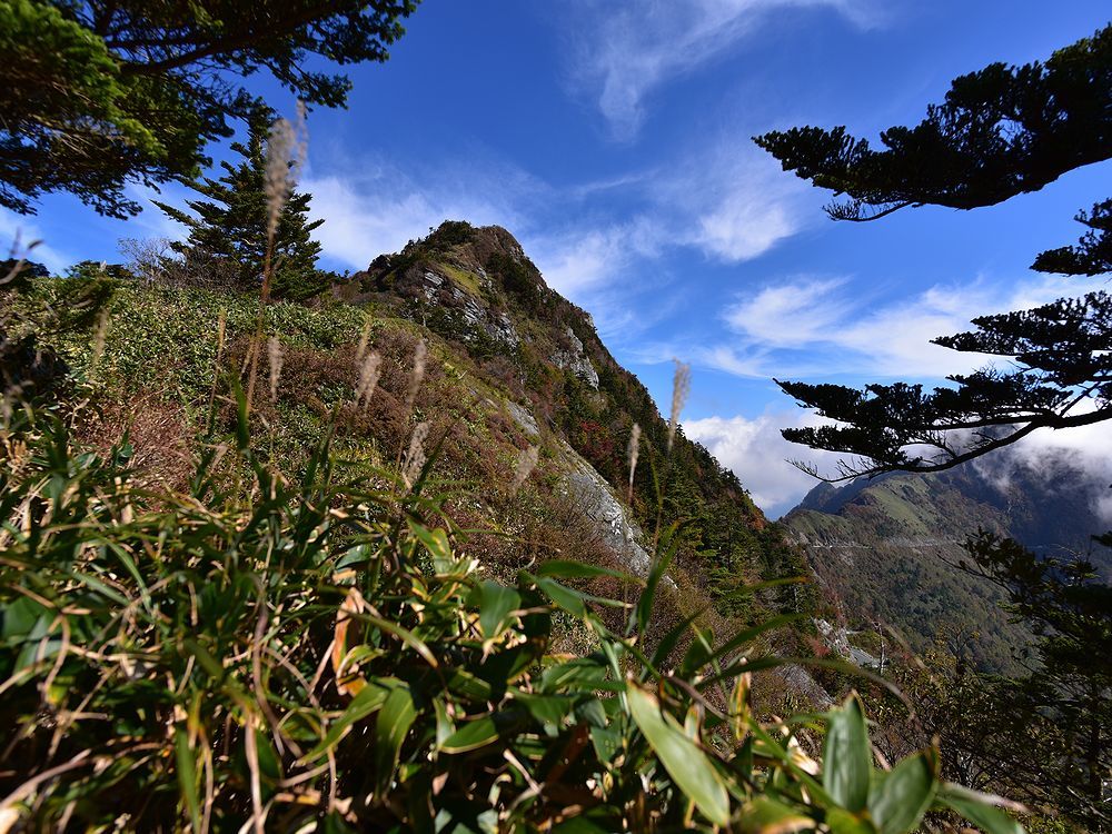 b0370155_16325520.jpg