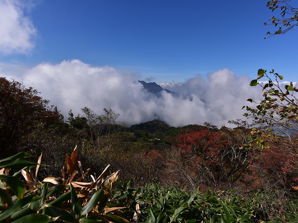 b0370155_16331840.jpg