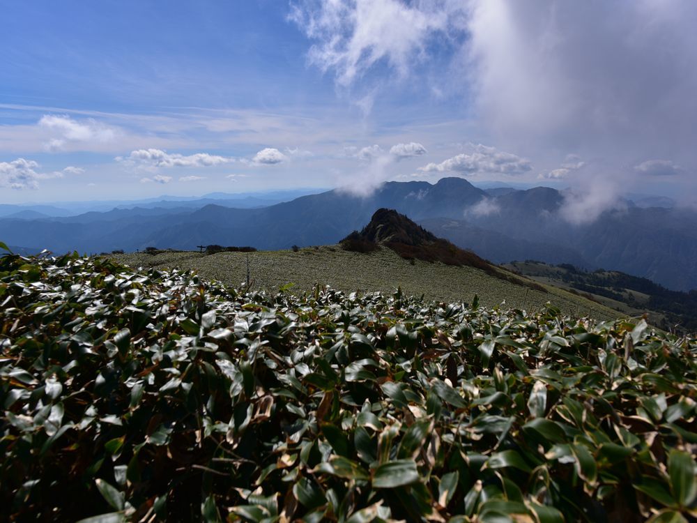 b0370155_16332920.jpg
