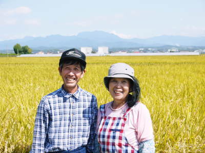 七城米　長尾農園　美しすぎる田んぼの稲刈り(2021)　新米の出荷は10月下旬からの予定です！(前編) _a0254656_17571230.jpg