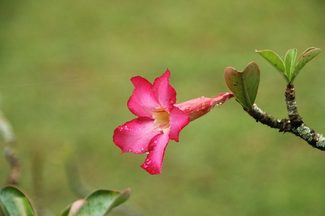b0242358_21122843.jpg
