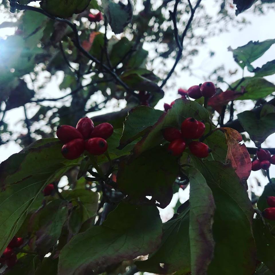 c0115560_10351908.jpg