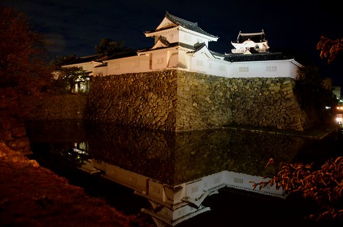 だんじり祭　「灯入れ曳行」_d0247262_1324058.jpg