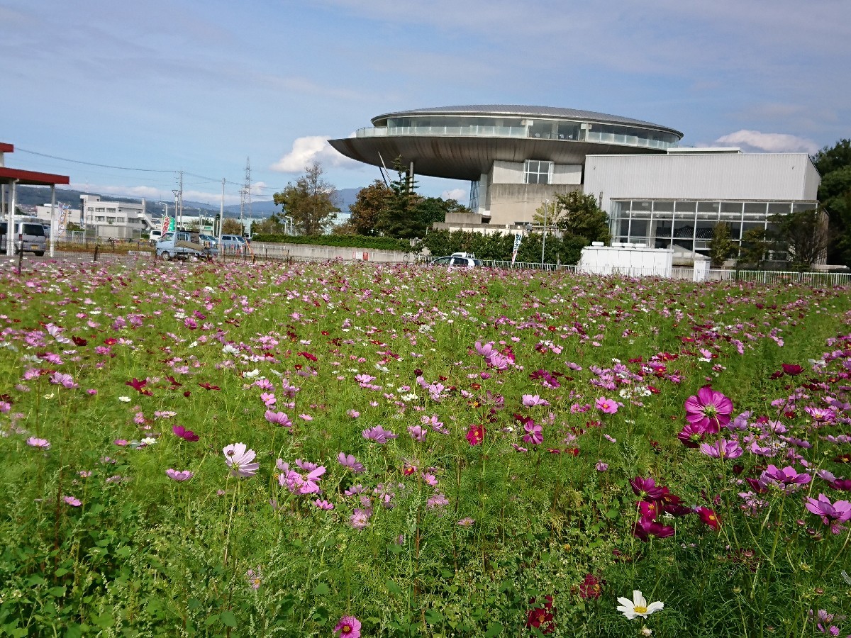 c0100865_08294715.jpg