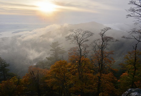 c0303868_04471339.jpg