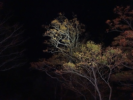 c0303868_04485769.jpg