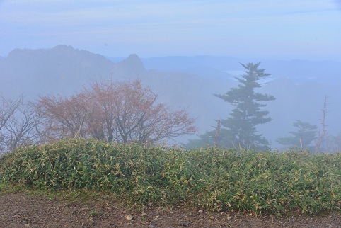 c0303868_04523929.jpg