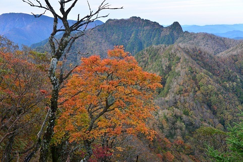 c0303868_04544479.jpg