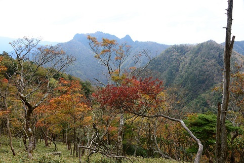 c0303868_04593678.jpg