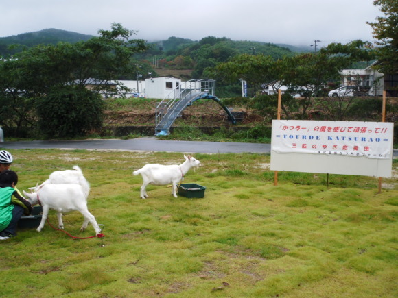 やっぱり出だしは雨~>゜)～～～川内村まで！_c0325468_20524933.jpg