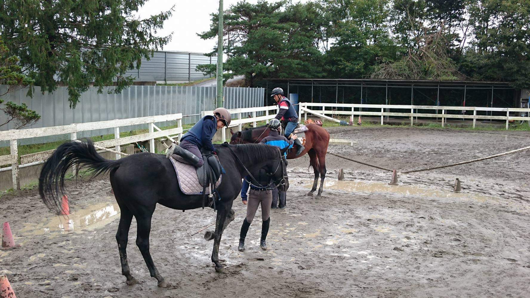 千葉で乗馬のライセンス取得に挑戦しよう 魅力たっぷり乗馬スクール紹介 Sotoasobi Life そとあそびライフ