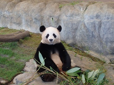 a0275676_00115468.jpg