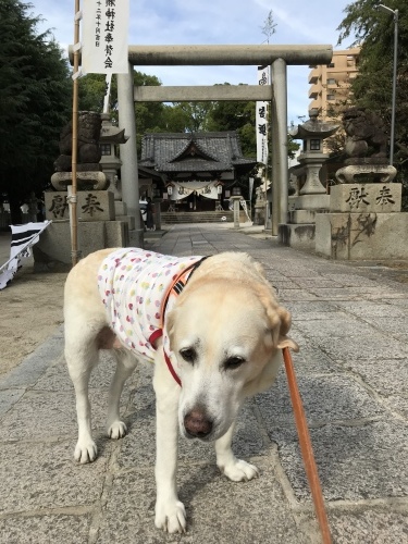 f0315081_18395109.jpeg