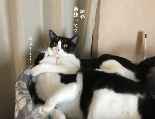 a0216583_14191507.png