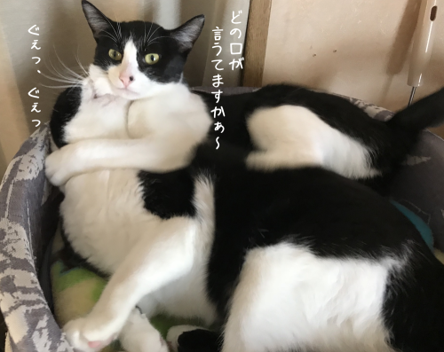 a0216583_14191896.png