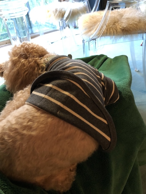 2018年10月14日 やっと_b0098584_16150603.jpeg
