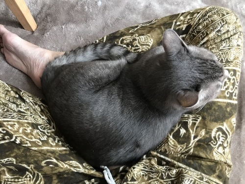 c0340786_21042471.jpeg