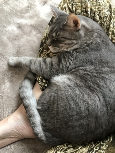 c0340786_21045116.jpeg