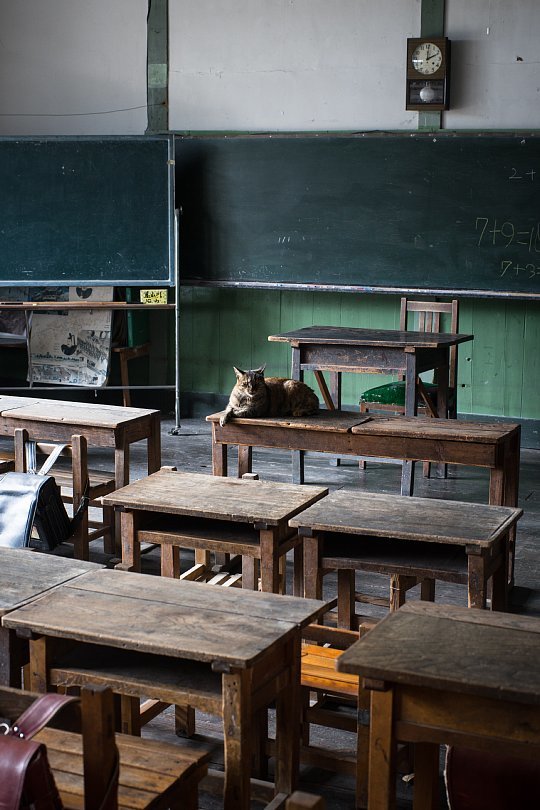 A Closed School Where An Affable Tabby Principal Lives_d0353489_10524994.jpg