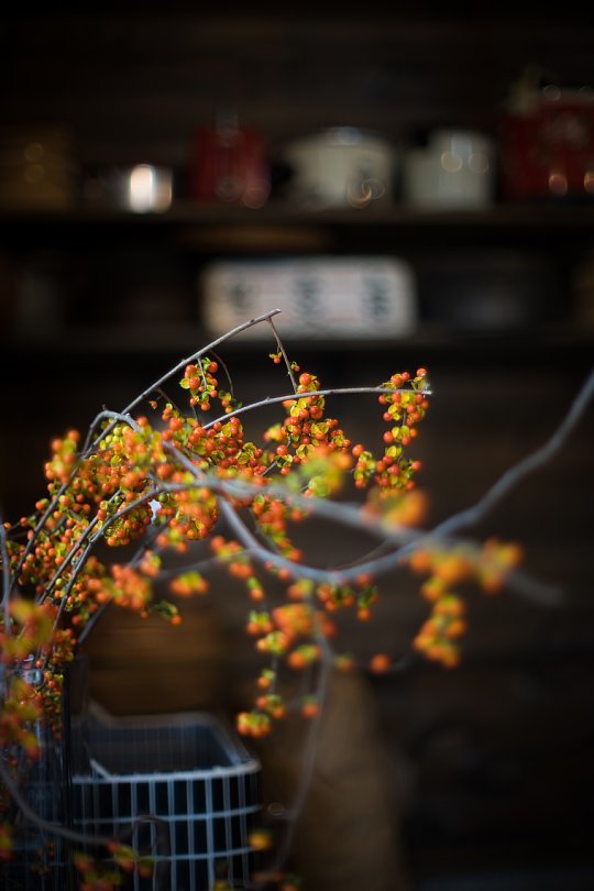 Nostalgic Light In Rustic Japanese \"SOBA\" Restaurant_d0353489_14050308.jpg