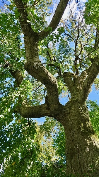 f0231393_17175716.jpg