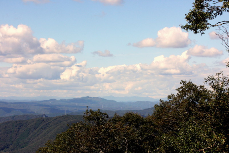 f0325295_15041950.jpg