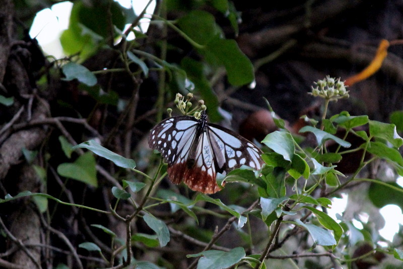 f0325295_15043300.jpg