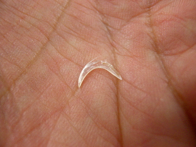 a0199297_02452393.jpg