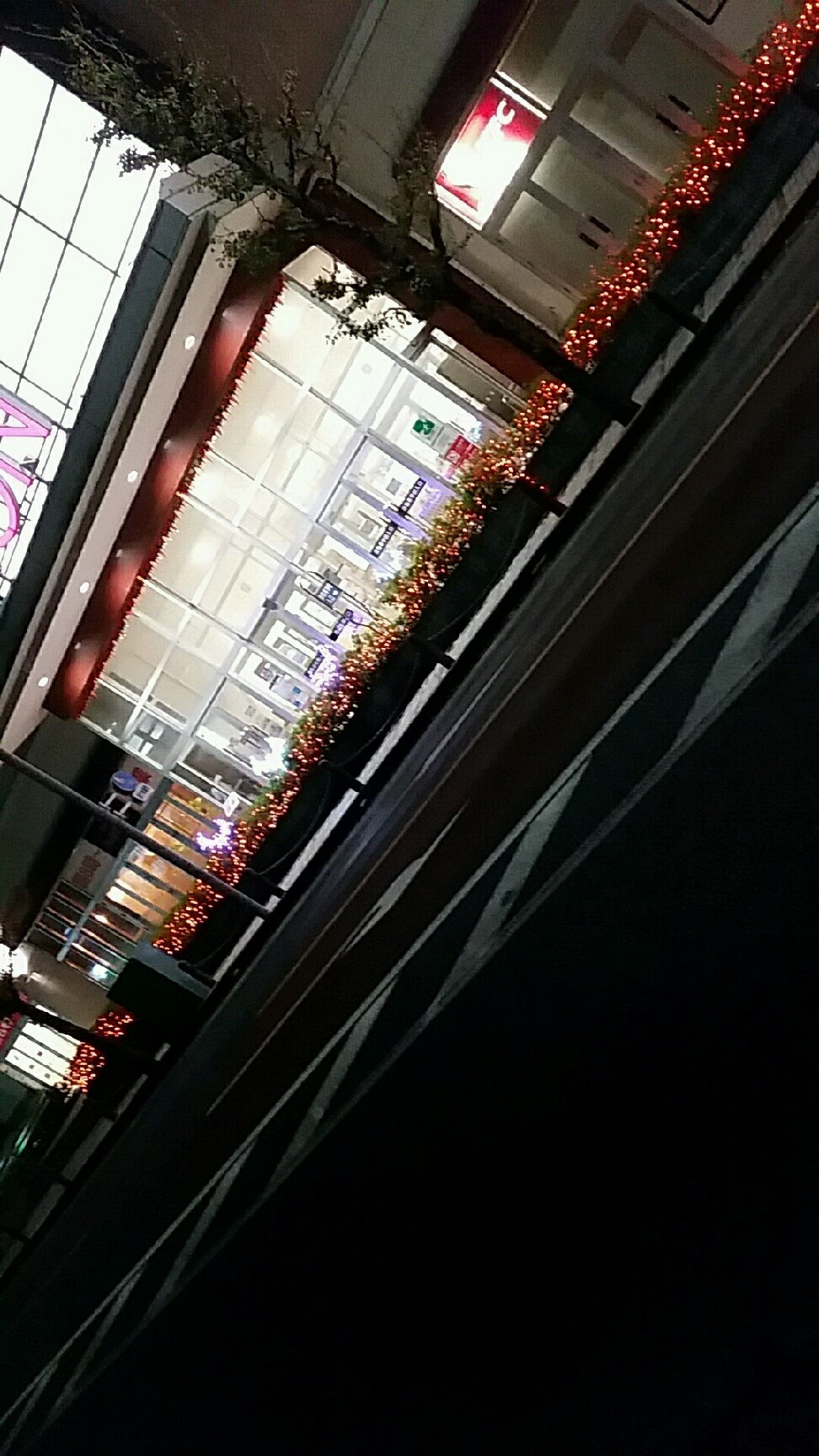 電飾が似合う季節にな..._d0092901_20531919.jpg